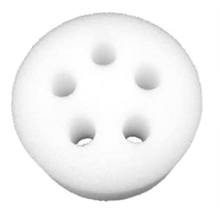 Sponge 5 Holes (Pack of 2)