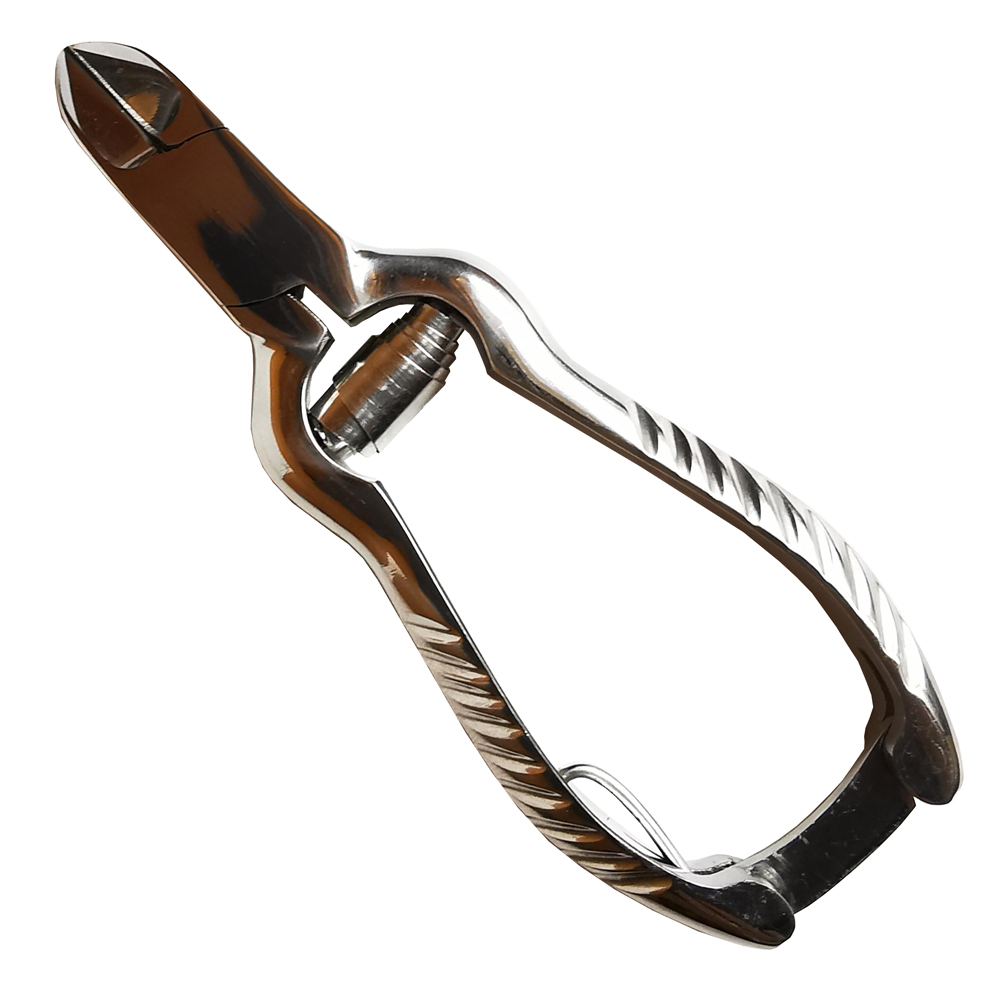 [1BA205SS] Pince mors concave - 11.5 cm